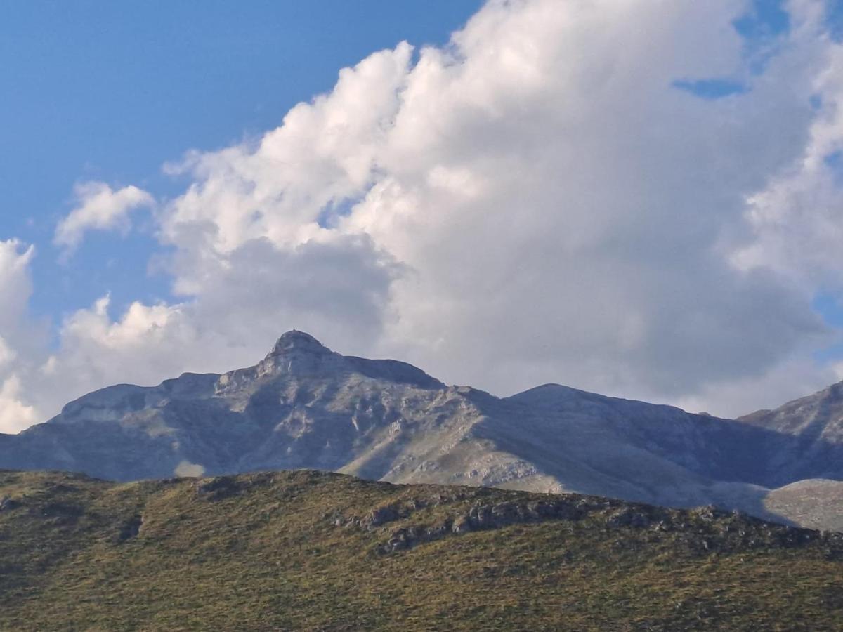 La Campagna Di Peppe E Tullia Bed and Breakfast Formia Buitenkant foto