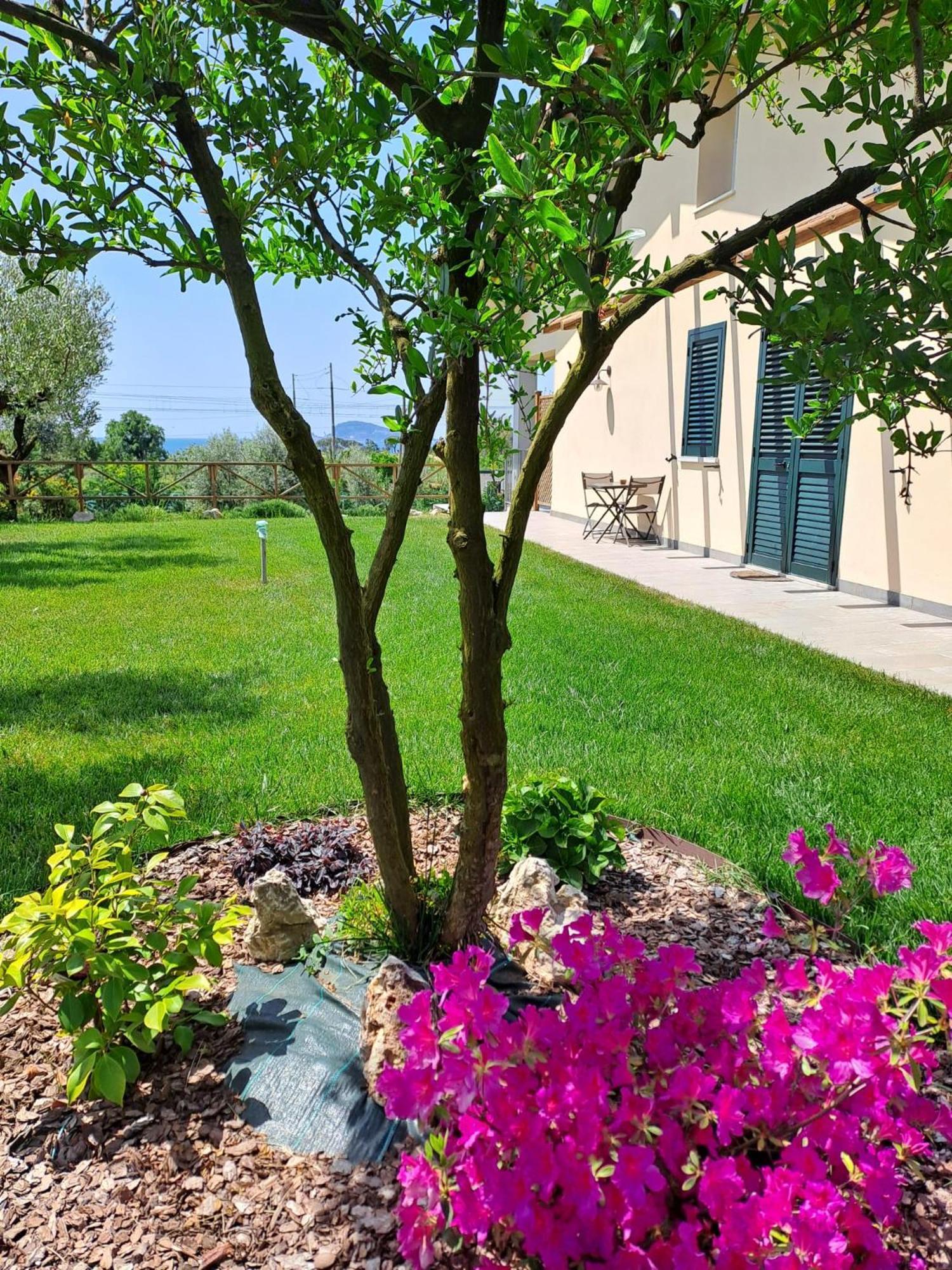 La Campagna Di Peppe E Tullia Bed and Breakfast Formia Buitenkant foto